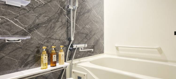 秋叶原曼迪尊贵公寓酒店(Monday Apart Premium Akihabara)图片