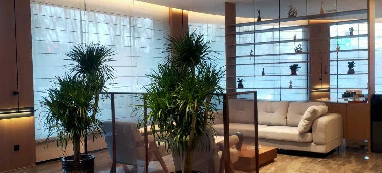 馨悦大酒店图片