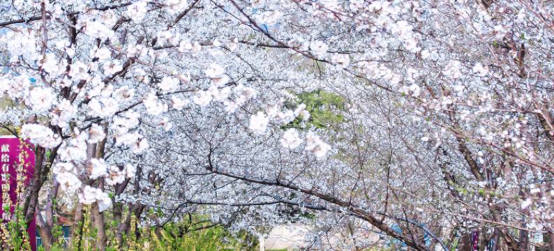 绍兴兰亭璞燊酒店图片