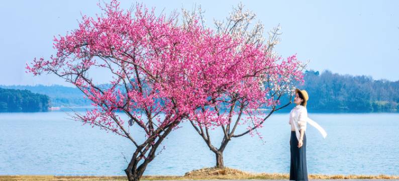 池州平天半岛大酒店图片