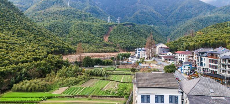 安吉依竹轩(大竹海店)图片