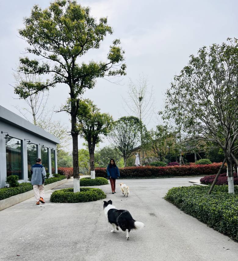 巴陵·邕湖庄园酒店(洞庭湖中华熊猫苑店)图片