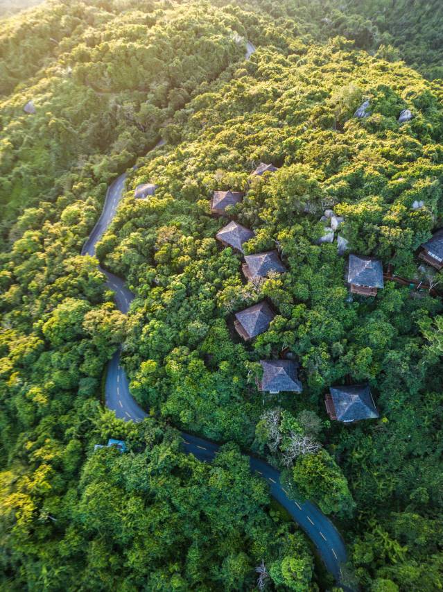 三亚亚龙湾人间天堂-鸟巢度假村图片