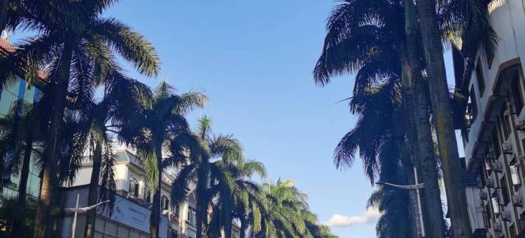 如家酒店·neo(芒市珍奇园店)图片