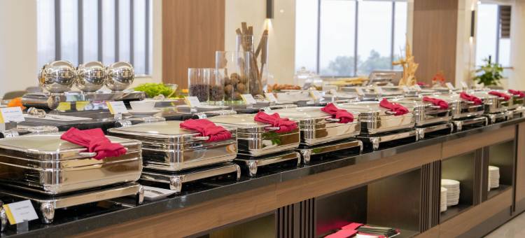 芒青豪华奠边府酒店(Muong Thanh Luxury Dien Bien Hotel)图片