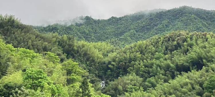 云山小院民宿图片