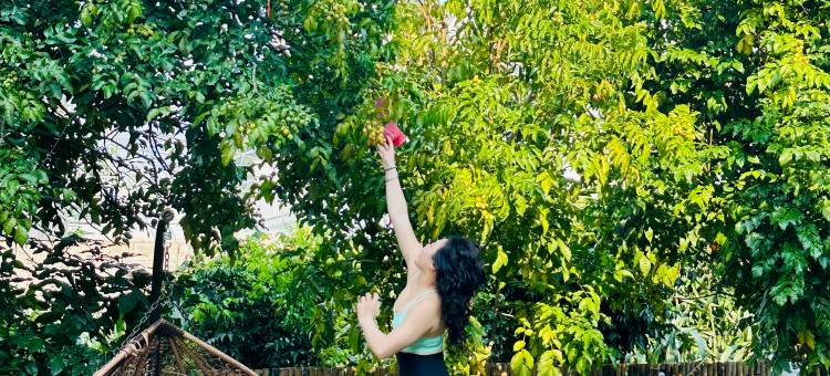 ·THAT MAY HOTEL·那年五月民宿(阳朔印象刘三姐景区漓江店)图片