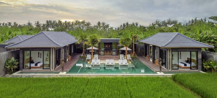 月莲别墅(Villa Luna Lotus by BaliSuperHost)图片