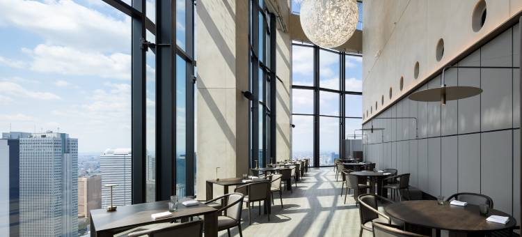 东京泛太平洋骊星酒店(Bellustar Tokyo, A Pan Pacific Hotel)图片
