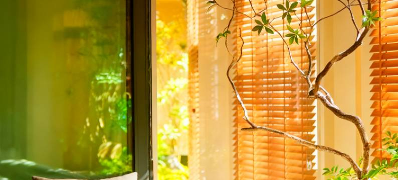 洛阳月芽儿民宿(隋唐洛阳城应天门遗址丽景门店)图片