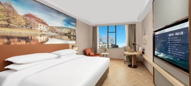 维也纳酒店(那曲班戈317国道店)图片