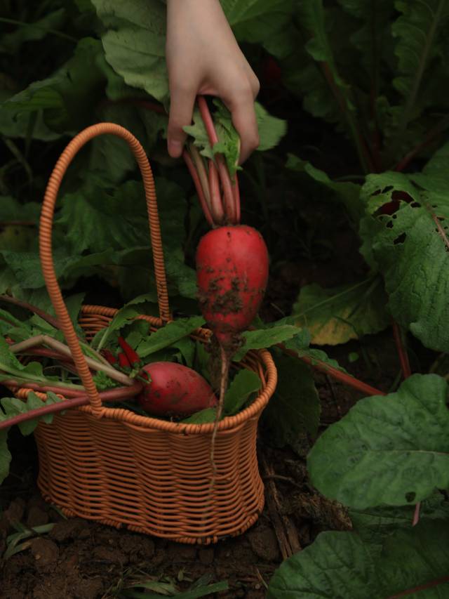 大乐之野·银杏谷(随州店)图片