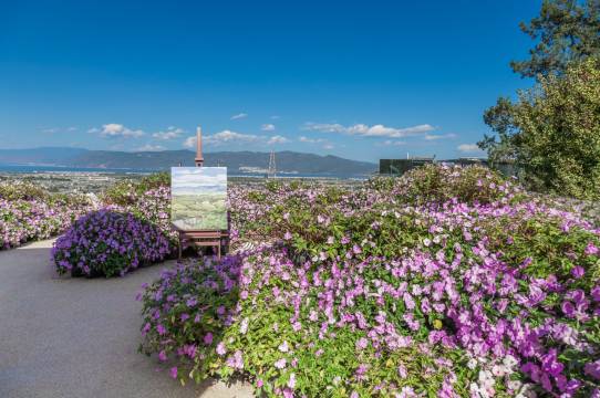 大理古城花间府·松语图片