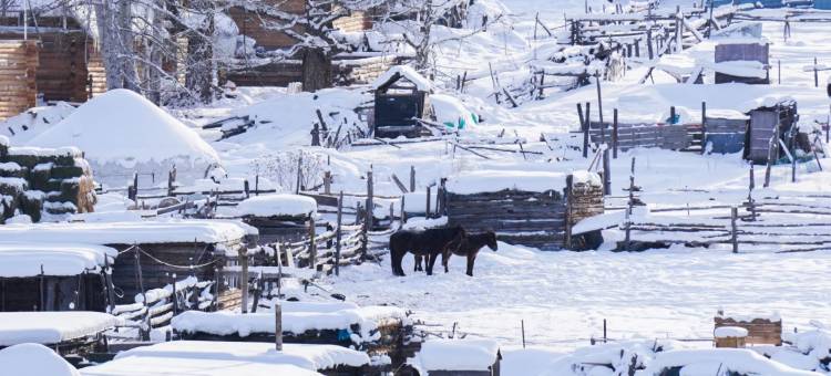 深山见•山野如许•自然美学花园庭院民宿(白哈巴老村店)图片