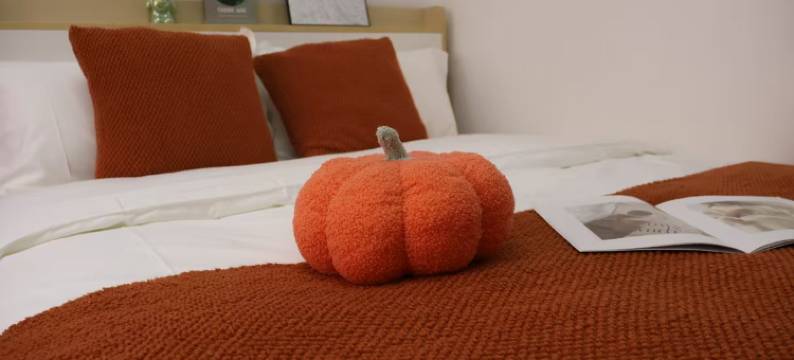 诗雅图行政公寓图片