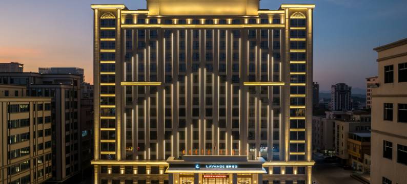 麗枫酒店(惠来隆江镇政府店)图片