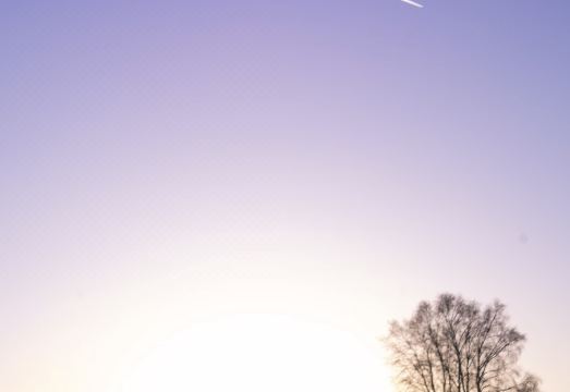 Floral Hotel·Lanshe Courtyard Hotel(Ulan Butong Scenic Area Store) Hotel Overview