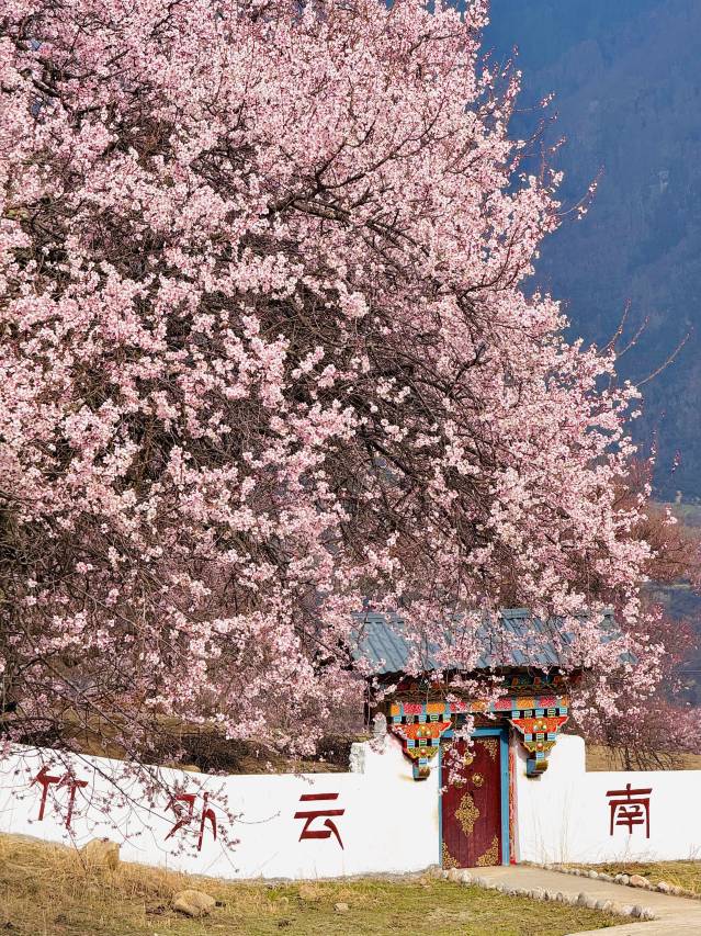 竹外云·莲赞山居(索松店)图片
