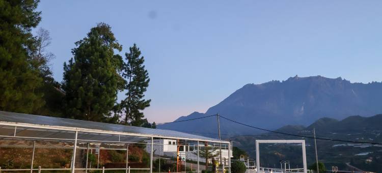 京那巴鲁山酒店(The Hill Kinabalu)图片