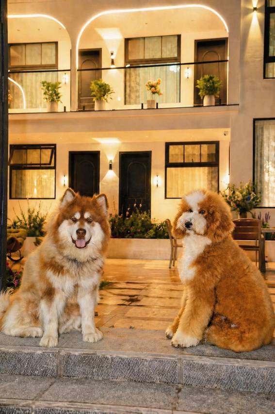云想居·Yun Manor 美学花园民宿(大理才村洱海生态廊道店)图片