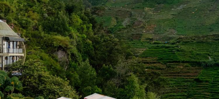 翡翠小屋迪恩(Emerald Cabin Dieng)图片