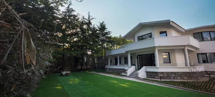 阿兰那美·Modern Tropical夏日定格美宿(碧螺塔酒吧公园店)图片