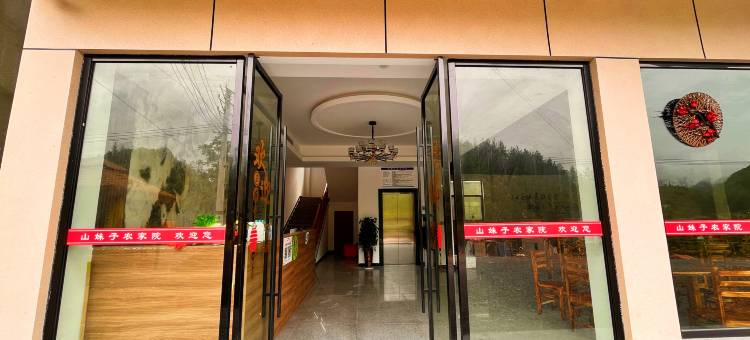 婷婷民宿(屏山村店)图片