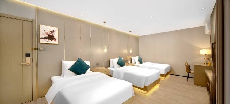 哈尔滨海逸·臻品酒店(双城状元湖店)图片