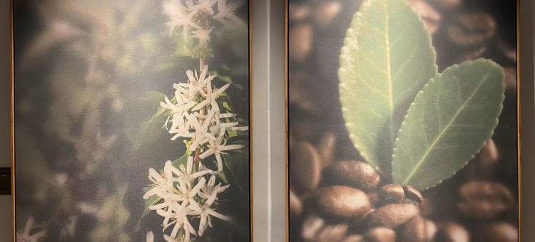 汉庭酒店(太仓万达广场店)图片