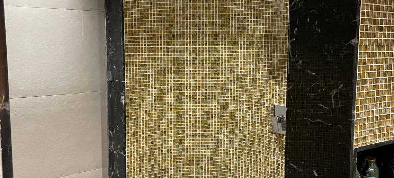 东营泊庭·合生汇汤泉酒店图片