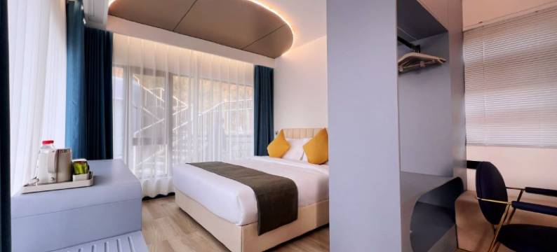 金寨红岭民宿·莲境山居图片