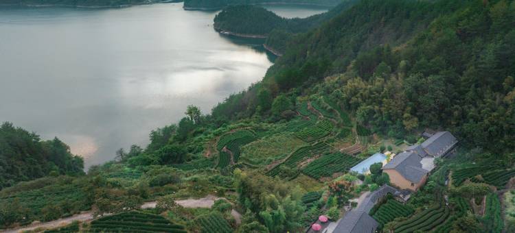 遂昌溪云里民宿图片