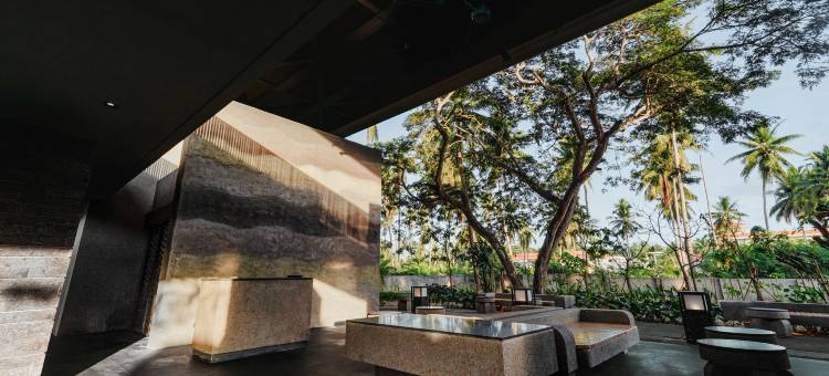 趣狮子 - 蒲甘(The Funny Lion - Puerto Princesa)图片