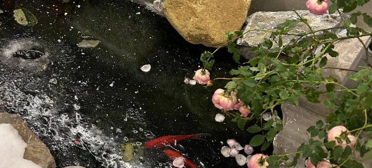 花筑·两厢和民宿(扬州东关街皮市街店)图片