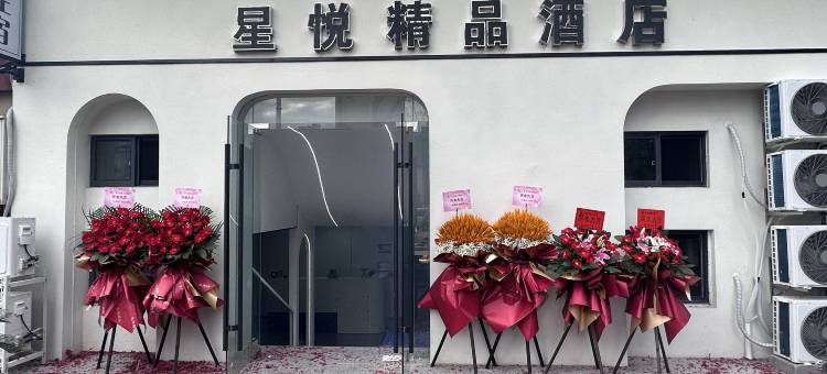 上海星悦精品酒店(青浦新城地铁站城中北路店)图片