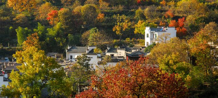 俏江湖酒店(宏村景区店)图片