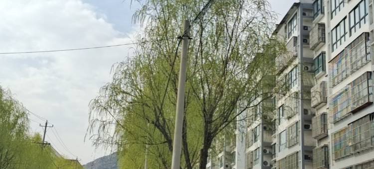 尚客优酒店(涉县龙山大街店)图片