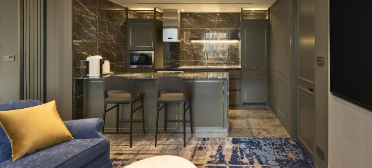 美爵首尔江南皇宫酒店(Grand Mercure Imperial Palace Seoul Gangnam)图片