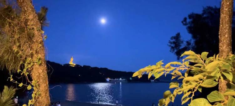 普陀山花筑奢·竹香居图片