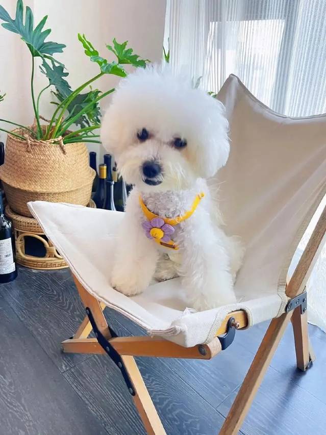 禧玥酒店(邵阳洞口汽车总站店)图片