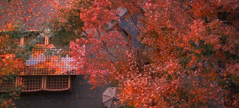 大理喜洲沐晨海景民宿图片