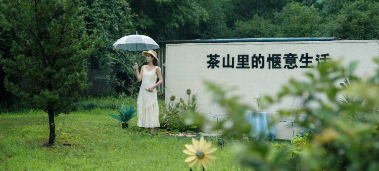 安吉一茶一墅民宿(白茶观景平台店)图片