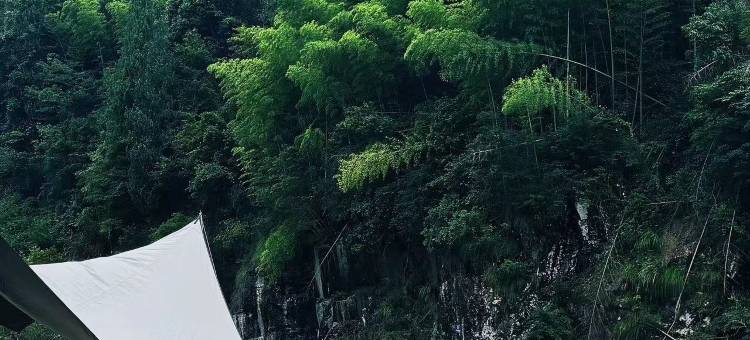 仙居北山有李民宿图片