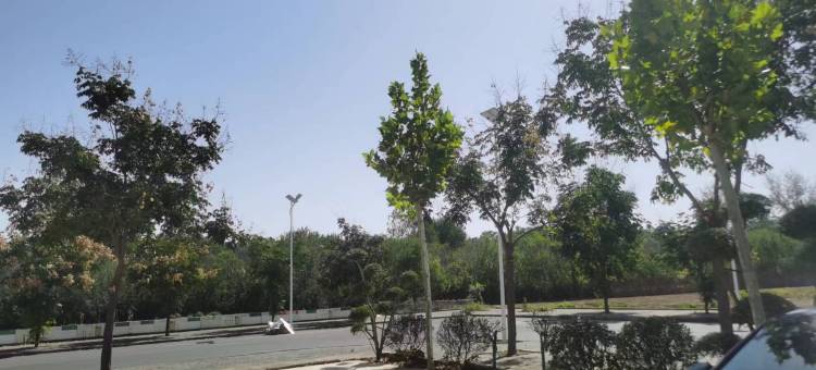 舞钢柳叶居酒店图片