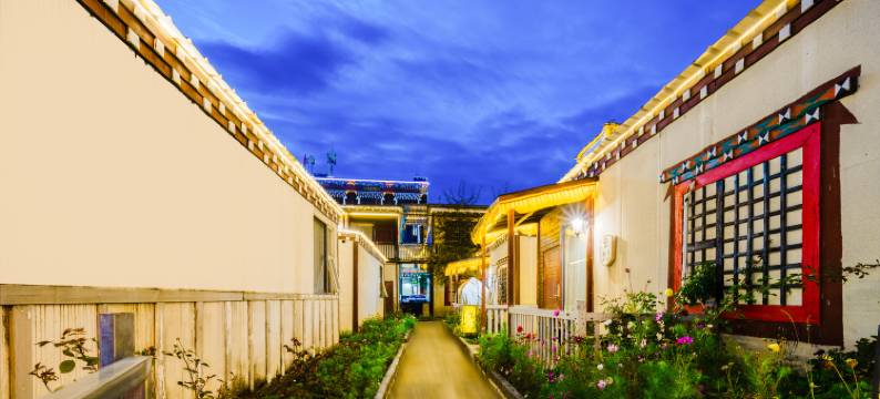 新都桥星梦酒店图片