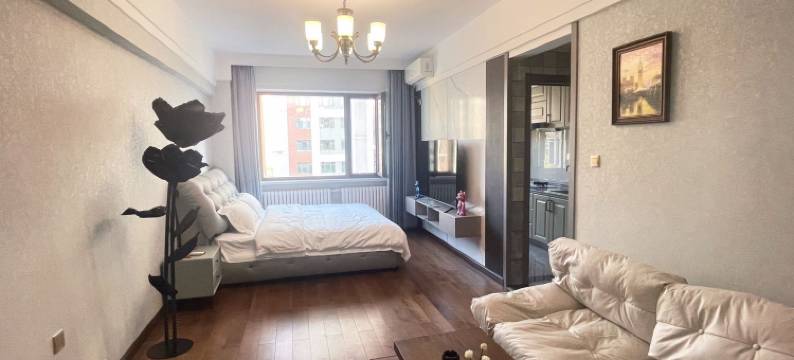 哈尔滨合悦高端民宿(学院路店)图片