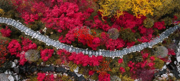 华美达温泉度假酒店(古尔沟旅游度假区店)图片
