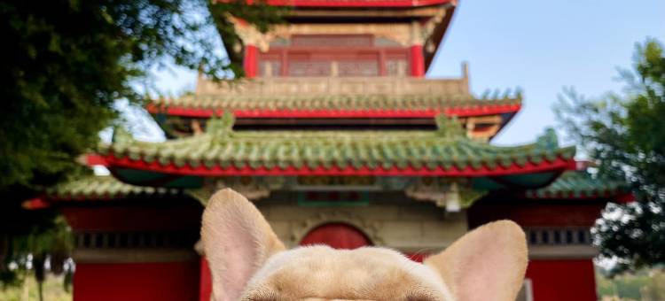 金门禧乐民宿图片