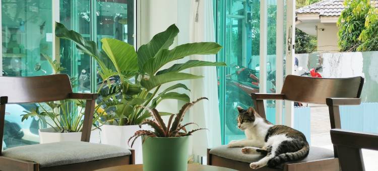 芭东海滩森屿精品民宿(Forest Island Hotel)图片