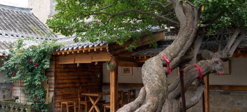 两棵冬青海岸庭院民宿(烟台山景区店)图片